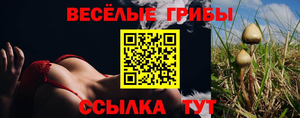 Псилоцибиновые грибы MAGIC MUSHROOMS Лесозаводск