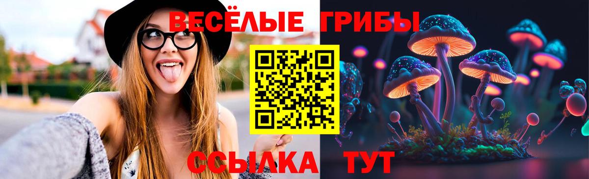 Лесозаводск  Псилоцибиновые грибы прущие грибы  Вход с VPN  Псилоцибиновые грибы Psilocybe 