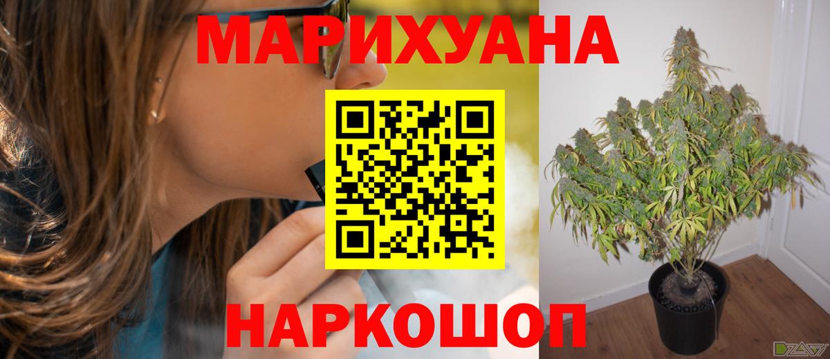 Каннабис планчик Лесозаводск